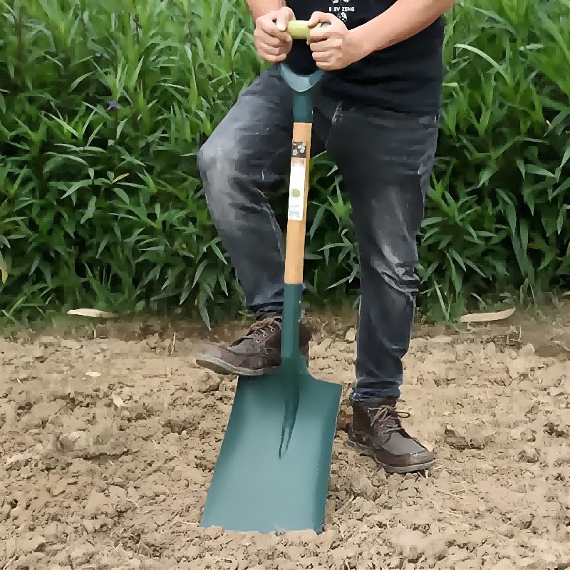 product-400-400 1(1)(1)