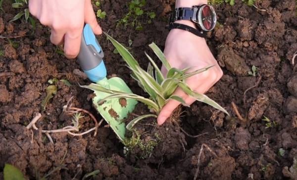 multi-interchange kid tools set(1).jpg