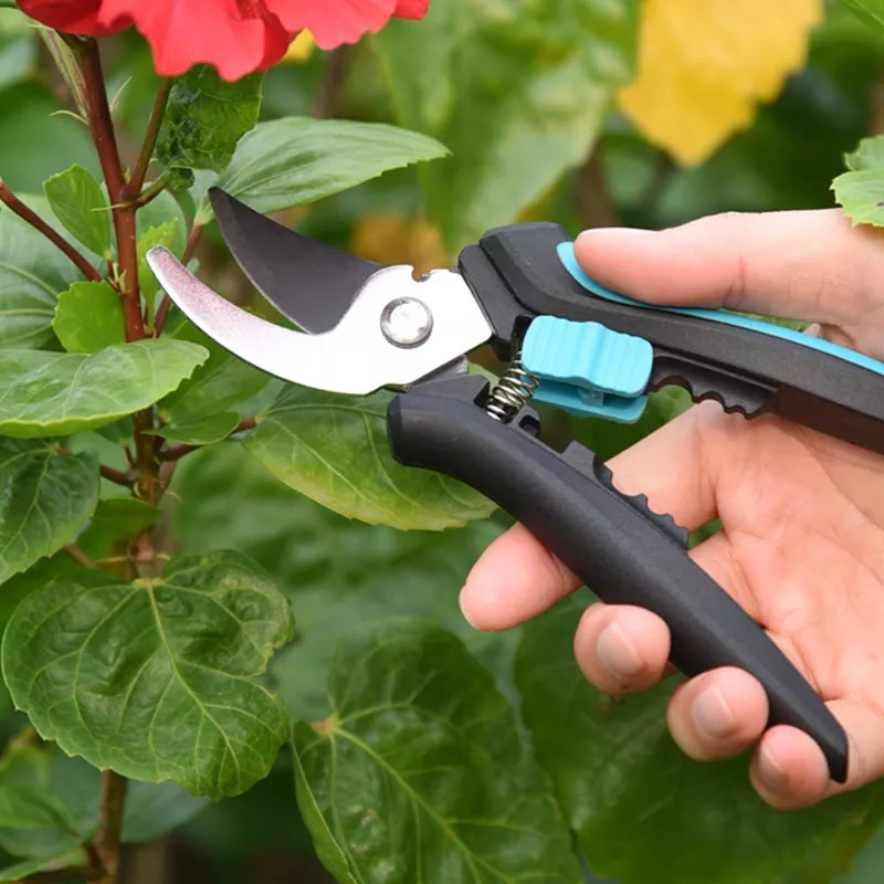 bypass pruner bypass pruner