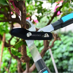 loppers for pruning loppers for pruning