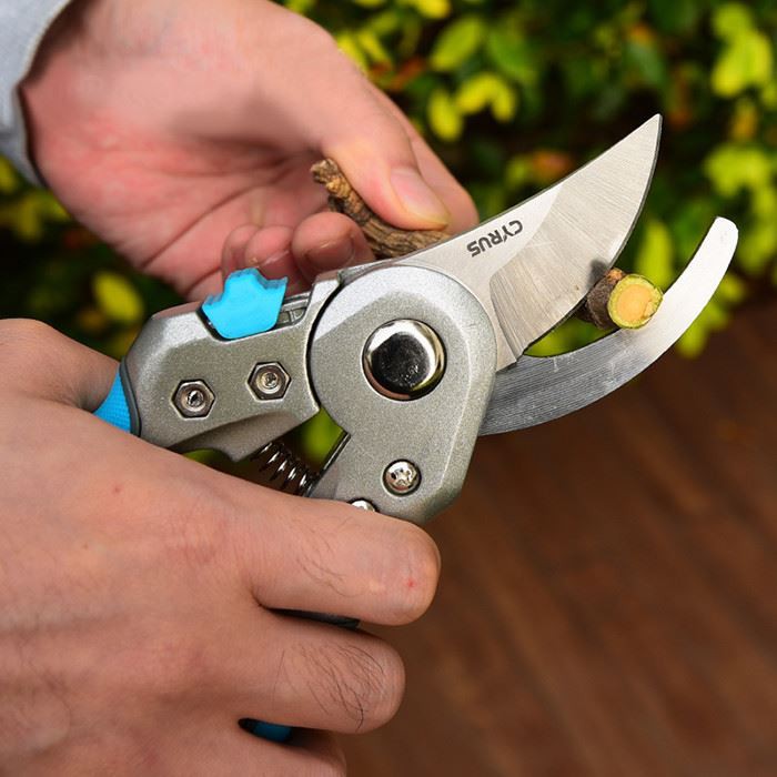 Bypass pruner
