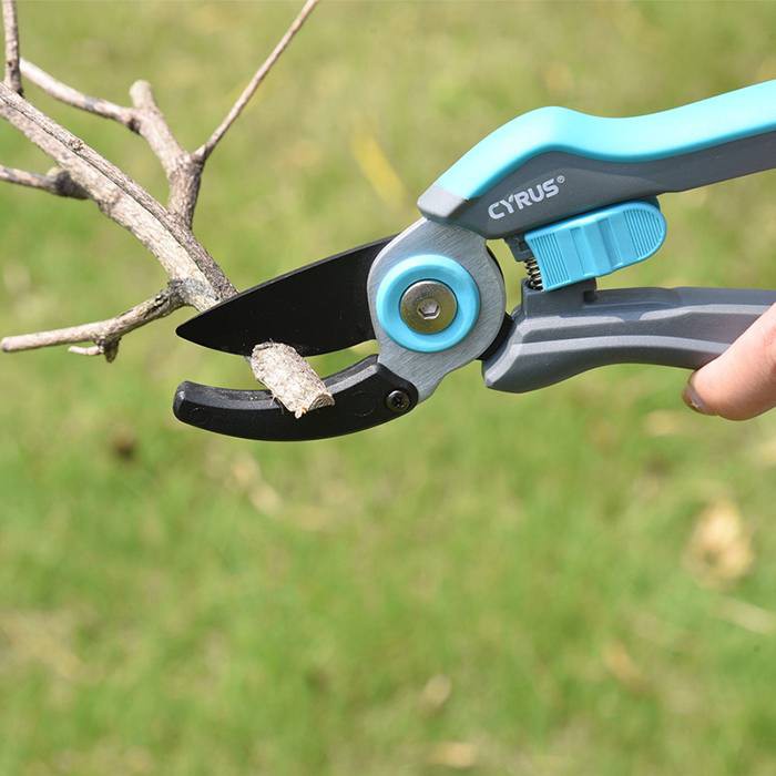 Garden Anvil Pruners