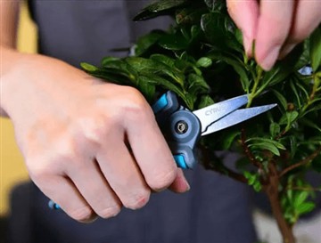 Waarom hebben we de nieuwe en grotere schaar gelanceerd?