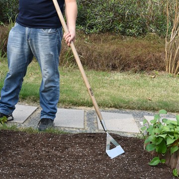 De voordelen van het starten van een moestuin