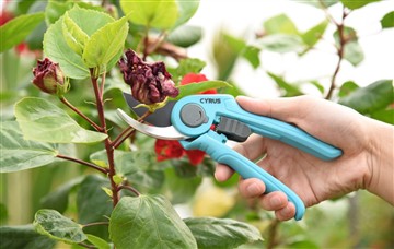 De voordelen van kracht- en handsnijgereedschap