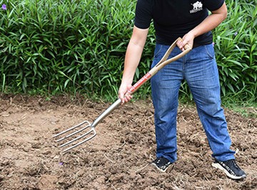 Korte introductie van de Russische tuincultuur