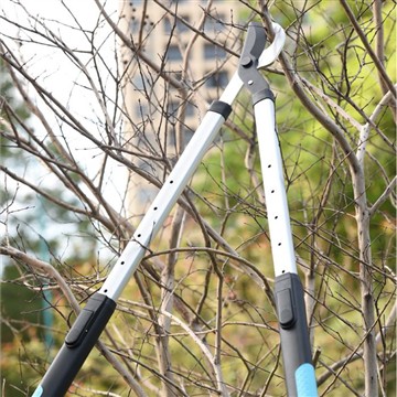 Snoeien en snoeien: zorgen voor mijn familie Garde