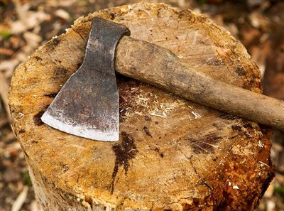 Boomsnijgereedschappen en veiligheidsuitrusting