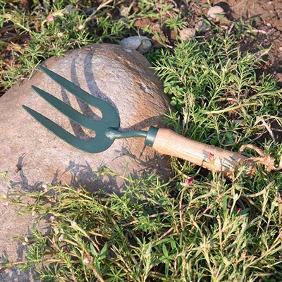 De dagelijkse avonturen van het tuingereedschap