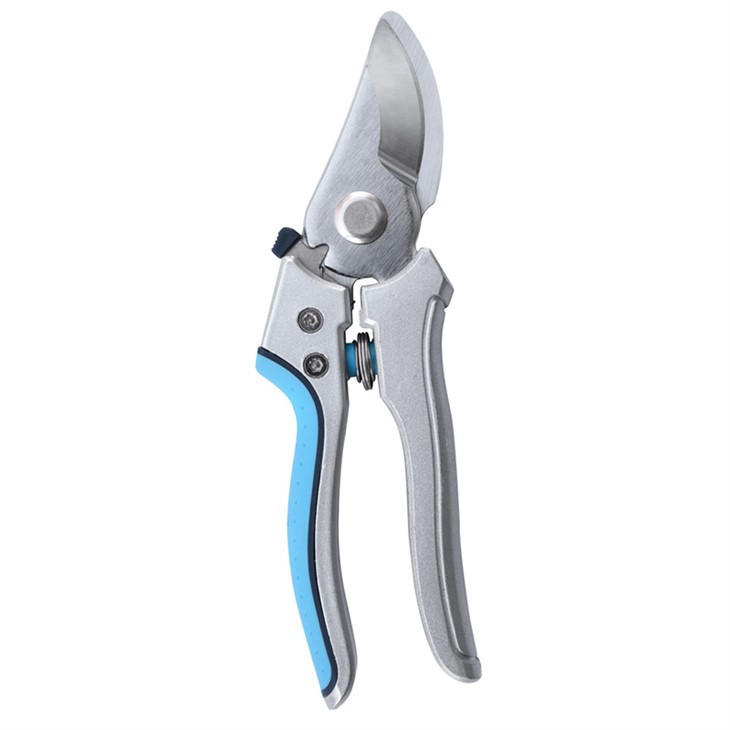 Snoei van hoge kwaliteit snoeien