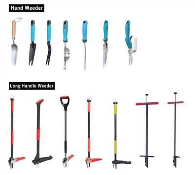 Groen cultiveren: duurzaamheid omarmen in uw tuin