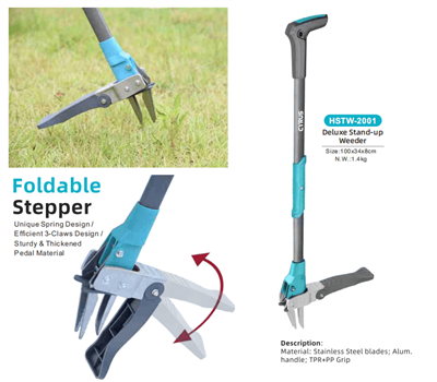 Viering van het Midherfstfestival over de hele wereld: een harmonie van tradi...