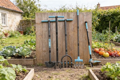 Het juiste gereedschap kiezen voor fruit- en groentetuinieren