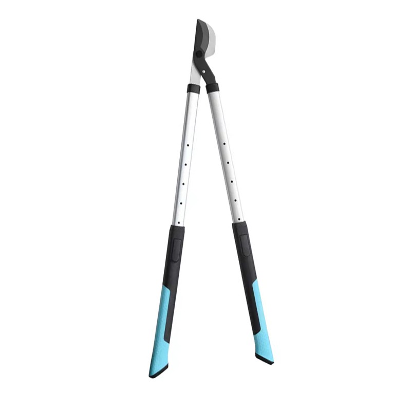 Lang behandelde loppers