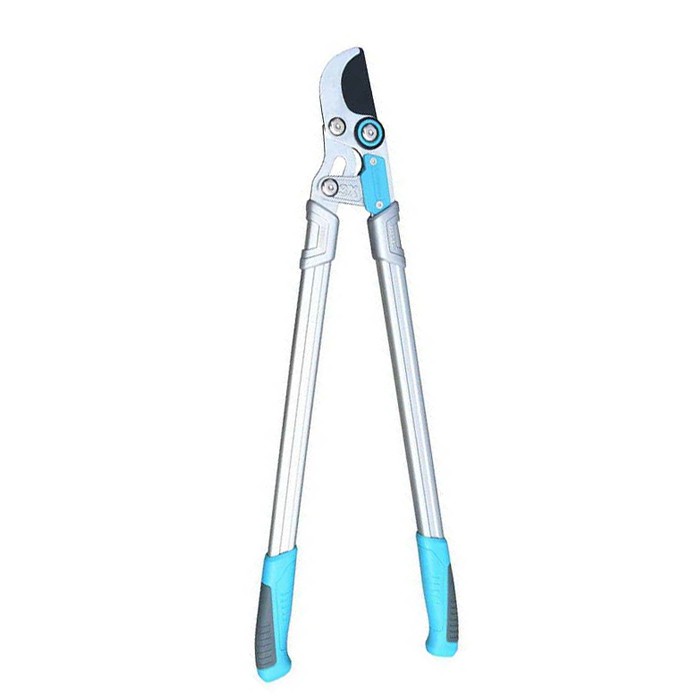 Lopping snoeiende schaar