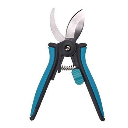 Kamerplant Snoeischaar